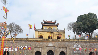 Pela primeira vez, uma Rua das Flores do Tet será organizada dentro da Cidadela Imperial de Thang Long.