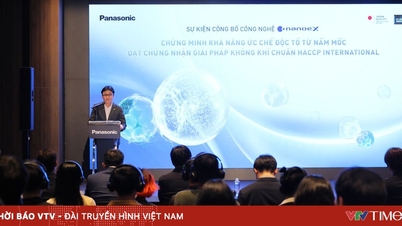 Noi cercetări despre nanoe™ X Generația 3 de la Panasonic.