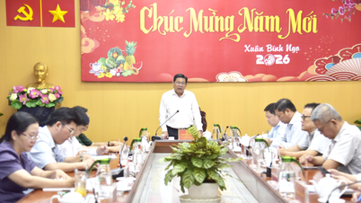 Wakil Ketua Komite Rakyat Provinsi An Giang Ngo Cong Thuc bekerja dengan 18 komune.
