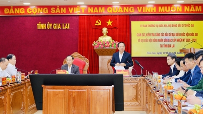 La délégation du Comité électoral de l'Assemblée nationale et du Conseil électoral national travaille à Gia Lai.