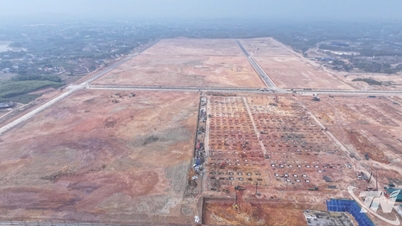 Défrichement des terres – Une avancée majeure pour accélérer le développement de Thai Nguyen.