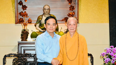 Partijsecretaris Tran Luu Quang van Ho Chi Minh-stad brengt een bezoek aan vooraanstaande religieuze leiders en functionarissen en wenst hen een gelukkig nieuwjaar.