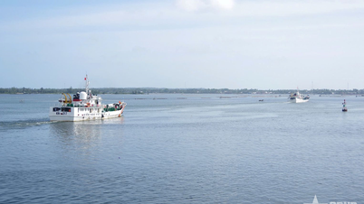 Sea voyages during springtime
