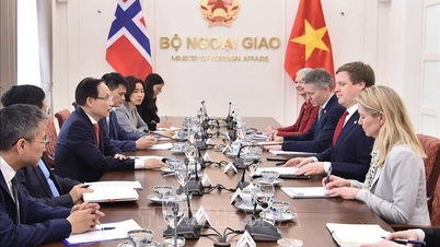 O Vietname e a Noruega promovem a cooperação no comércio e na economia verde.