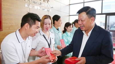 Компания Hai Phong всегда поддерживает и содействует устойчивому развитию бизнеса.