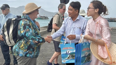 La isla de Con Dao da la bienvenida a su primer crucero internacional de 2026.