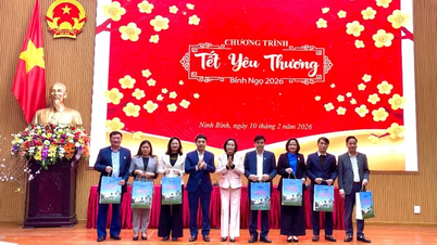 รองประธานสภาแห่งชาติ เหงียน ถิ ทันห์ เยี่ยมเยือนและอวยพรปีใหม่ที่จังหวัดนิงบิงห์