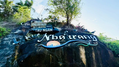 แหล่งท่องเที่ยวใต้น้ำอิมเพรสชั่น ญาตรัง - จุดหมายปลายทางที่เต็มไปด้วยความคิดสร้างสรรค์