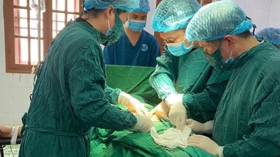 O Centro Médico Militar-Civil Bach Long Vi tratou com sucesso seu terceiro paciente desde o início do ano.