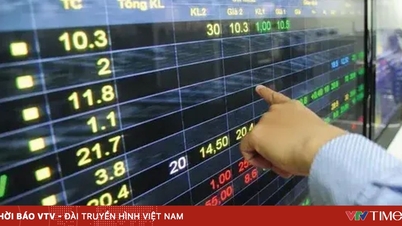 شاخص VN به لطف سهام Vin از افت شدید جلوگیری کرد.