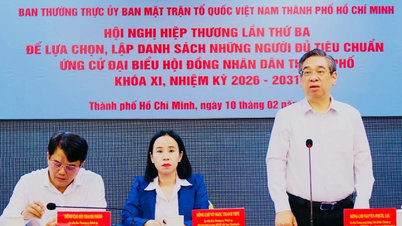 Ho Chi Minh-stad: Overhandiging van de lijst met gekwalificeerde kandidaten voor de Nationale Vergadering en de Volksraad na de derde consultatieronde.