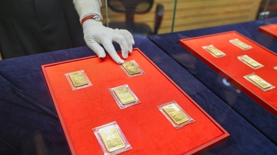 今日、2026年2月11日、世界の金価格は落ち着きを見せていますが、SJCの金価格は1億8100万VNDを超えています。