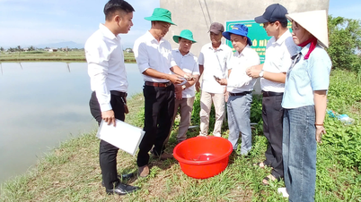 কৃষি সম্প্রসারণ কার্যক্রমের কার্যকারিতা বৃদ্ধি করা।