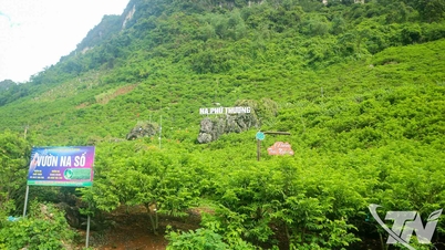 जैविक और चक्रीय कृषि उत्पादन का विस्तार करना।