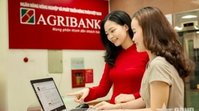 Ensuring payment security on the bank's digital channels.