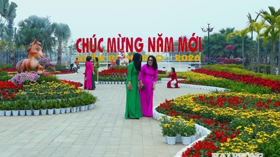 Les décorations de la plus grande rue fleurie de Hai Phong sont terminées.