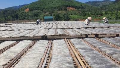 Valorificarea punctelor forte ale produselor agricole.