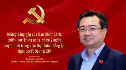 Sr. Nguyen Thanh Nghi: As contribuições do Comitê Central de Políticas e Estratégias serão decisivas para a implementação bem-sucedida da Resolução do 14º Congresso Nacional.