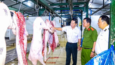 Sikring av trygge og høykvalitets animalske produkter til kinesisk nyttår.