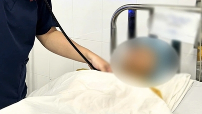 Een heel gezin in Ho Chi Minh-stad is met spoed naar het ziekenhuis gebracht vanwege vermoedelijke voedselvergiftiging na het eten van rodebaars.