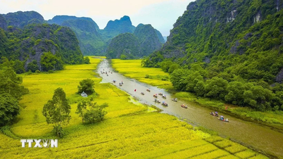 As dinastias Dinh, Le e Ly estabeleceram Ninh Binh como sua capital, incorporando Nam Dinh e Ha Nam para expandir a área de vestígios da dinastia Tran.