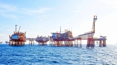 Με μισθούς εργαζομένων στα 40 εκατομμύρια VND, η PV GAS D δέχεται μειωμένα κέρδη για να διατηρήσει το μερίδιο αγοράς.