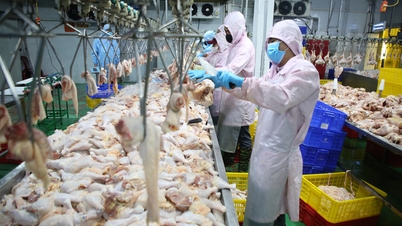 Bac Ninh: Memastikan bekalan makanan yang selamat semasa cuti Tet.