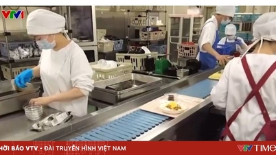 Việt Nam tiếp tục là điểm đến của vốn Nhật Bản trong lĩnh vực dịch vụ