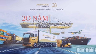 An Phuoc Automobile Transport Company Limited: Resan och ambitionen att leda transportbranschen i centrala höglandet.