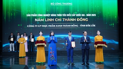 Société par actions Thanh Dong Green Food : Une aspiration écologique et un parcours pour établir sa marque.