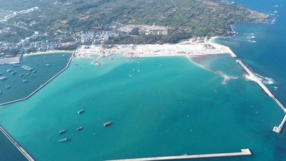 Badan Manajemen Proyek Pertanian Provinsi: Satu tahun untuk membuat "jejak" di darat dan di laut.