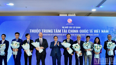 Утвердження позиції В'єтнаму на світовій фінансовій карті завдяки його притаманним сильним сторонам.