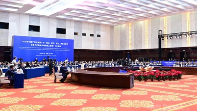 Pertemuan musim semi antara Sekretaris Partai dari lima provinsi dan kota di Vietnam dan Sekretaris Partai Provinsi Guangxi.