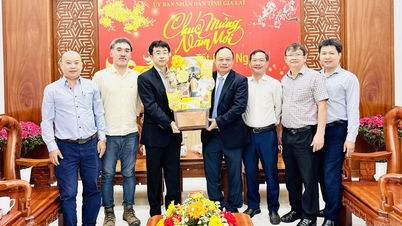 A Quy Nhon Forestry Company Limited visitou e transmitiu felicitações de Ano Novo ao Comitê Popular da província de Gia Lai.