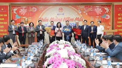 Menteri Dao Hong Lan menyampaikan keputusan untuk mengangkat kembali Pemimpin Redaksi Surat Kabar Kesehatan dan Kehidupan, serta menunjuk para pemimpin untuk Departemen Hukum dan Dewan Medis Nasional.
