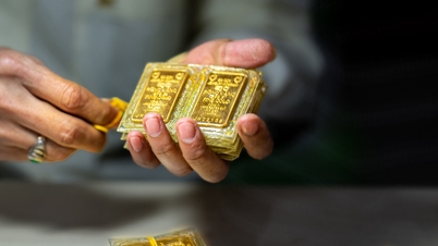 تحديث أسعار الذهب لظهيرة اليوم، 11 فبراير 2026: سعر الذهب في سان خوسيه، سعر الذهب عيار 24 قيراط 9999، سعر الذهب في الخواتم، سعر الذهب العالمي.
