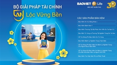 An Loc Vinh Ben – une solution flexible de Bao Viet Life Insurance