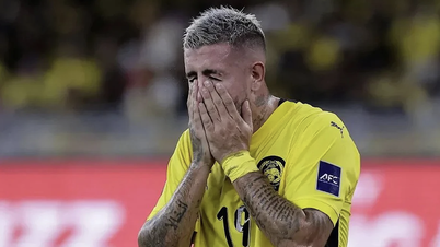 AFCは、ベトナムサッカー連盟がマレーシアによる不正な帰化を主張して苦情を申し立てたことを確認した。