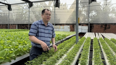 De duidelijke voordelen van het ontwikkelen van groene landbouw.