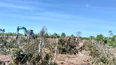 Quy Nhon – Pleiku ایکسپریس وے پروجیکٹ کے جزو 3 کے لیے فوری طور پر معاوضے کی ادائیگی کریں۔