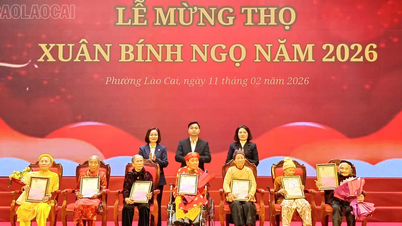 Lao Cai Ward organizuje obchody Święta Wiosny z okazji Roku Konia 2026.