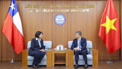 Promoting people-to-people cooperation in commemoration of the 55th anniversary of Vietnam-Chile relations.