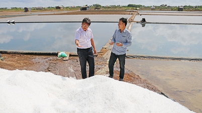 Los productores de sal de la comuna de Bao Thanh están entusiasmados con la primera cosecha de sal del año.