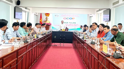 कैन थो सिटी के 6 उत्पाद ऐसे हैं जिन्हें OCOP 4-स्टार मानकों को पूरा करने के लिए पुनः प्रमाणित किया गया है।