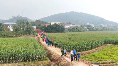 These roads pave the way for rural development.
