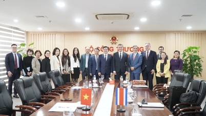 O vice-ministro Nguyen Sinh Nhat Tan recebeu e realizou uma reunião de trabalho com o Ministro das Relações Exteriores da Costa Rica.