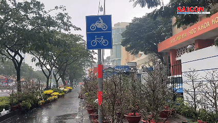 ホーチミン市での突然の雨により、旧正月休み中の花屋は不安に陥っている。