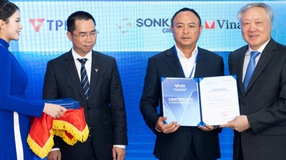 SonKim Group is a founding member of the Vietnam International Financial Centre.