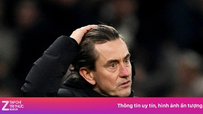 トッテナム、監督を解任。