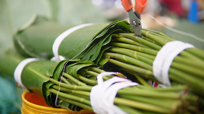 De markt voor bananenbladeren in Ho Chi Minh-stad blijft zelfs tijdens het hoogseizoen van Tet (Vietnamees Nieuwjaar) traag: "Rond deze tijd van het jaar kunnen 4-5 verkopers de vraag niet bijbenen."